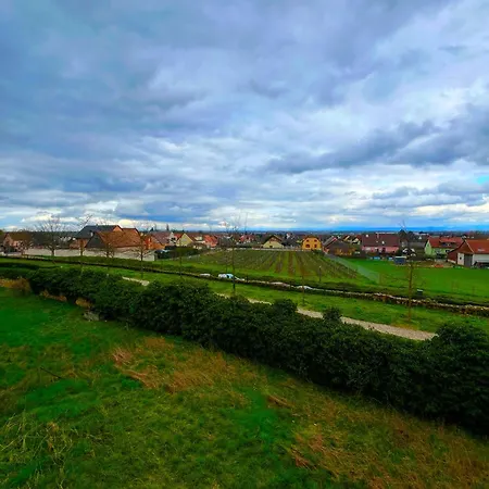 Le Nid Douillet - Au Calme & Parking Gratuit Bergheim